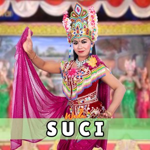 Suci