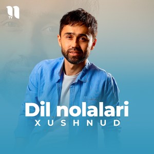 Dil nolalari