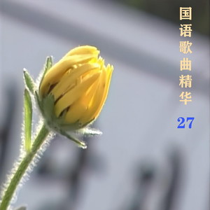 国语歌曲精华27