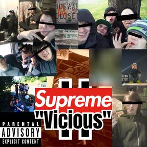 Supreme Vicious II (Explicit)