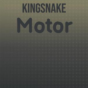 Kingsnake Motor