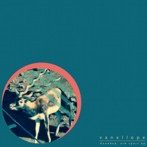 Dance On The Moon In The Real World