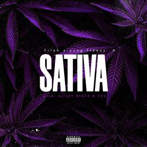 Sativa (Explicit)