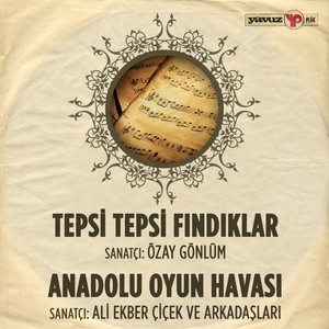 Tepsi Tepsi Fındık / Anadolu Oyun Havası (Ali Ekber Çiçek ve Arkadaşları)