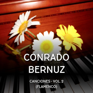 Canciones - Vol. 2 (Flamenco)