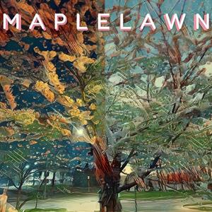 Let The Flower Bloom (feat. Temora)