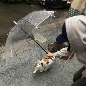 东风无力百花残