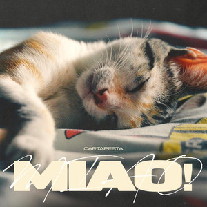 MIAO!