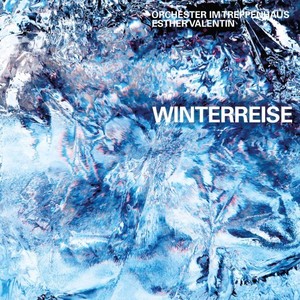 Winterreise, D. 911 - 23. Die Nebensonnen