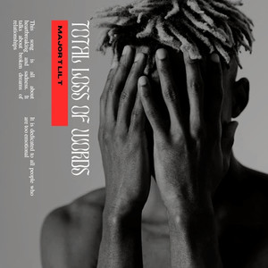 Total loss of words (Radio Edit)