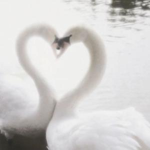 love n hate (Explicit)