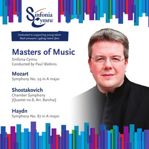 Symphony No. 29 in A Major, K. 201 - II. Andante