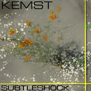 Subtleshock