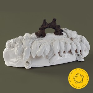 Symphony No. 4 in C Major - I. Allegro molto moderato