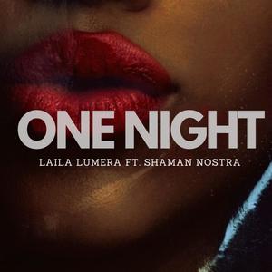 One Night(feat. Shaman Nostra)