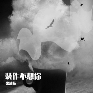 装作不想你Prod.毒猫毒猫