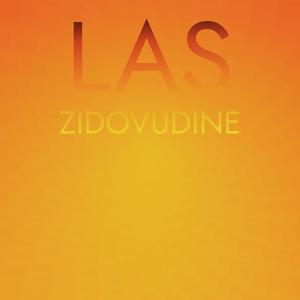 Las Zidovudine