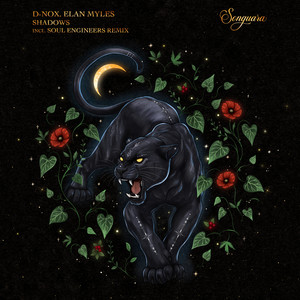 Shadows (Soul Engineers Extended Remix)