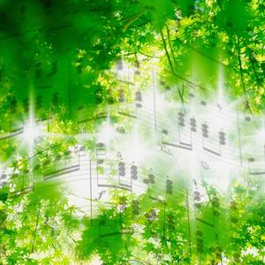 Messengers of Slokothy