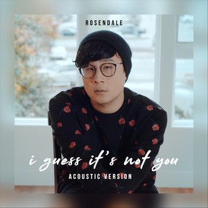 I Guess It's Not You (Acoustic)