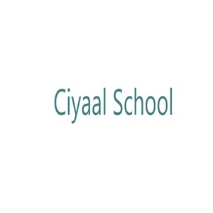 Ciyaal School (feat. Mohamed Tobanle)