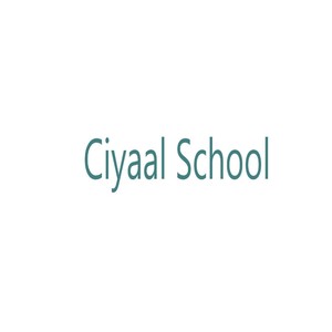 Ciyaal School(feat. Mohamed Tobanle)