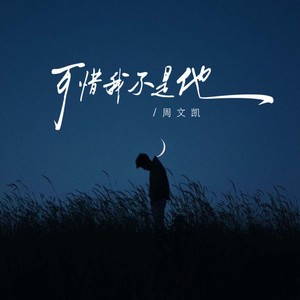 可惜我不是他封面