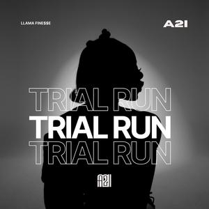 TRIAL RUN (Explicit)