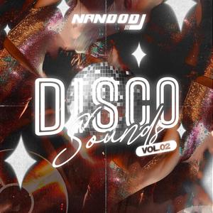 DISCO SOUNDS VOL 2