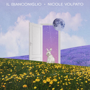 Il bianconiglio