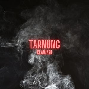 Tarnung (Explicit)