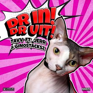 Dr In Dr Uit (feat. Tavv & Gino Stacksz)