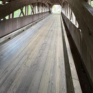 Still Standing Strong