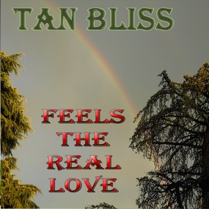 Feels the Real Love (Original Mix)