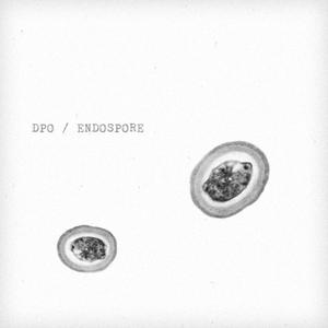 Endospore