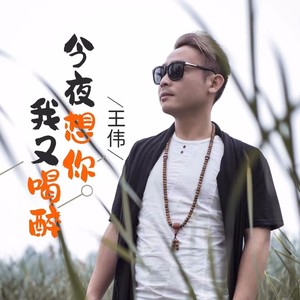 今夜想你我又喝醉dj