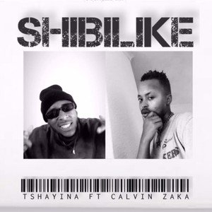 Shibilike