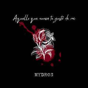 Aquello Que Nunca Te Gustó de Mí