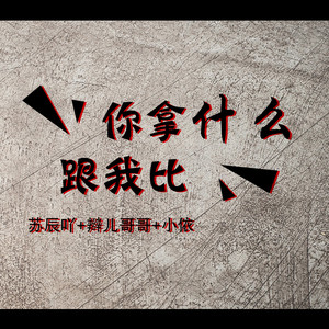 爱的可能 (DJ版)