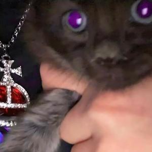 vivenne 2 ✮⋆˙ (ok, fine shyt) (Explicit)