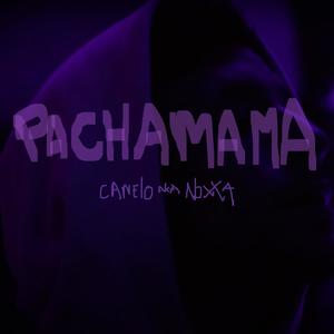 PACHAMAMA (feat. Pasa que hace frio)