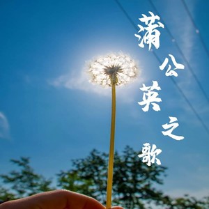 蒲公英之歌（流行版）-沂蒙新阶层“蒲公英”统战工作品牌形象歌曲 (伴奏)