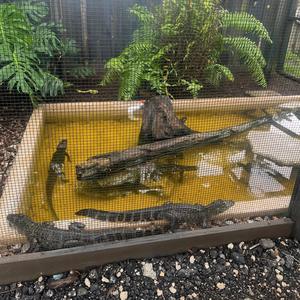 Aday II (feat. Blakemoney) (Explicit)