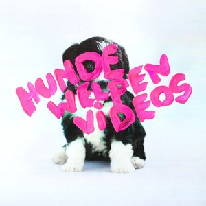 Hundewelpenvideos