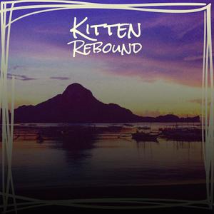 Kitten Rebound