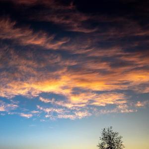 Vaportrayal - The Moment (s) You Lose