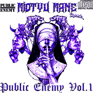 Public Enemy Vol. 1