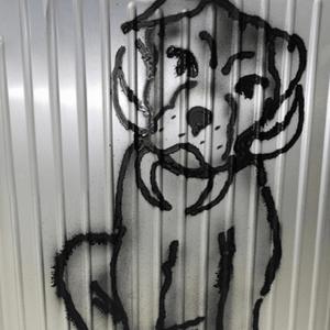 so sorry (feat. benjifvr) (Explicit)