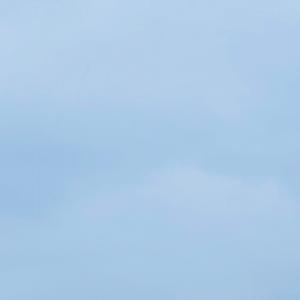 coarseness and drowsiness