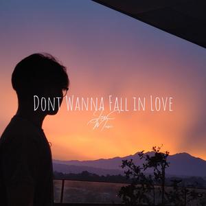 Don't wanna fall in love